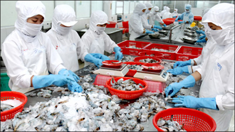 การฟื้นตัวของเศรษฐกิจเวียดนามส่งผลดีต่อตลาดแรงงาน